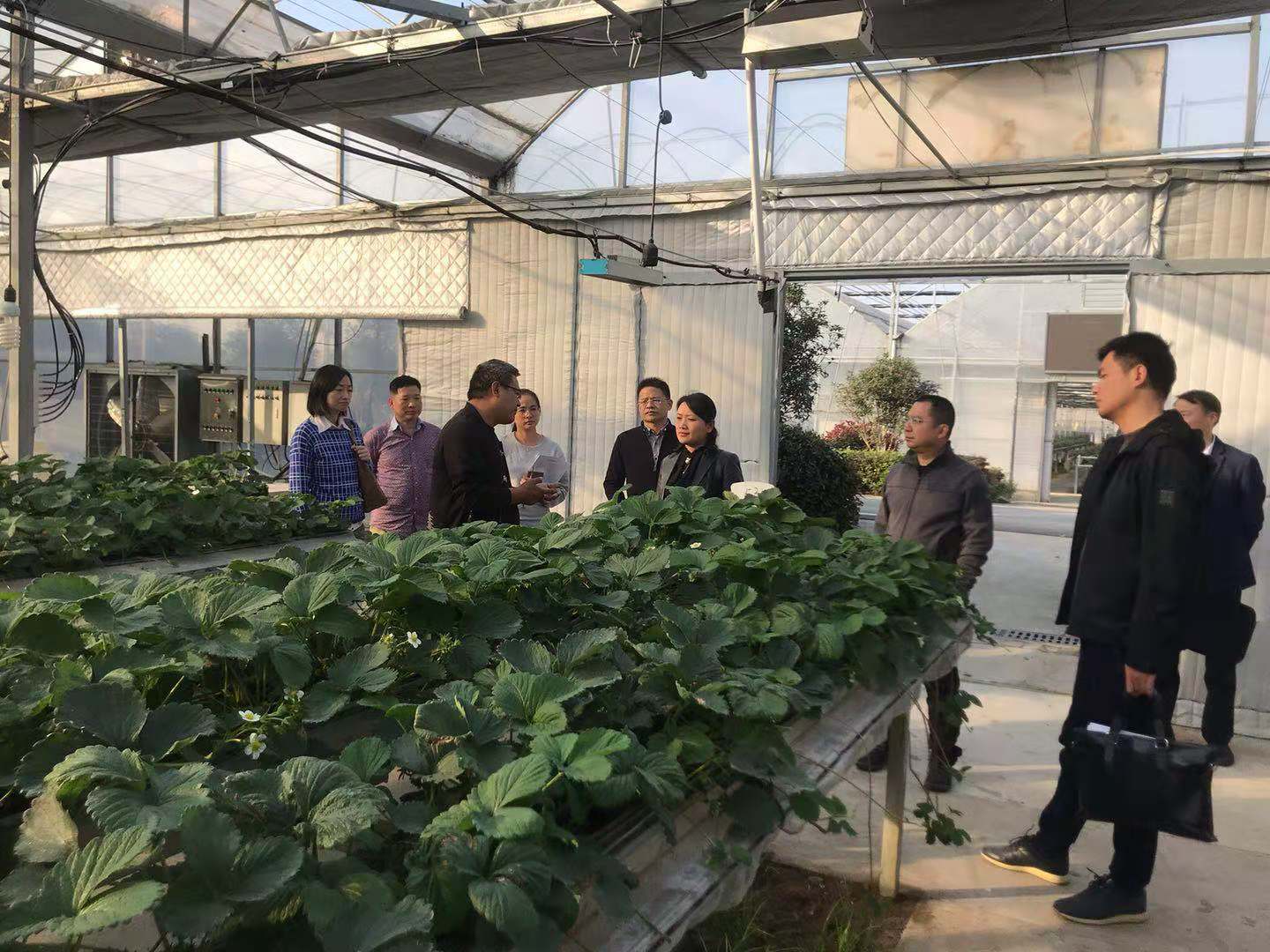 尊龙凯时 - 人生就是搏!