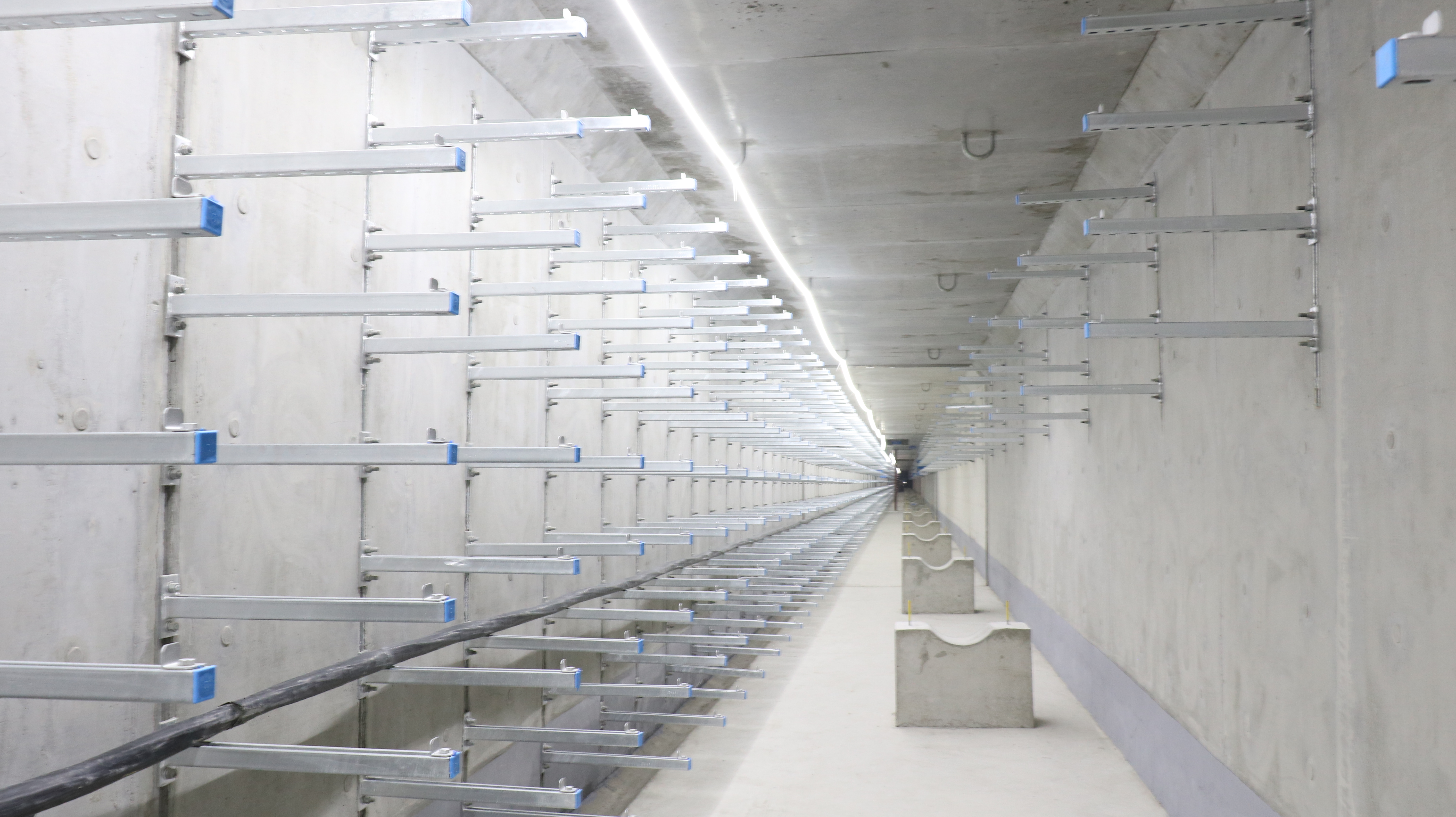 尊龙凯时 - 人生就是搏!